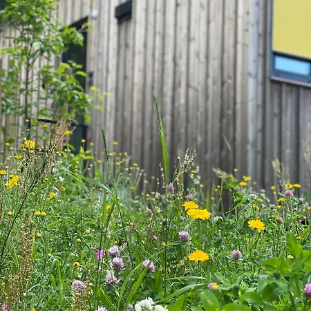 Feriehus Wergelandshaugen - 10 Minutes From Oslo Airport - Sauna - Cafe - Sculpture Park